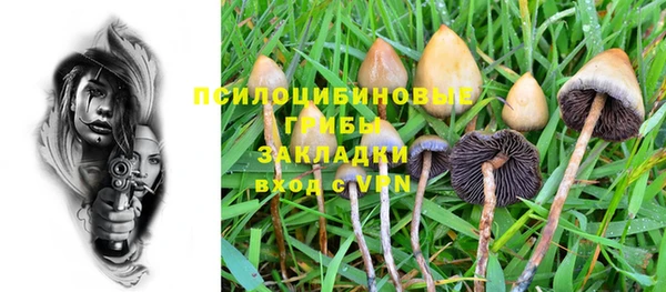 бошки Ряжск