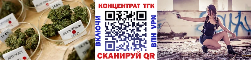 закладки  omg как войти  ТГК гашишное масло  Беломорск 